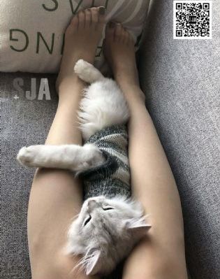 av在线看国产_BD英语电影在线看